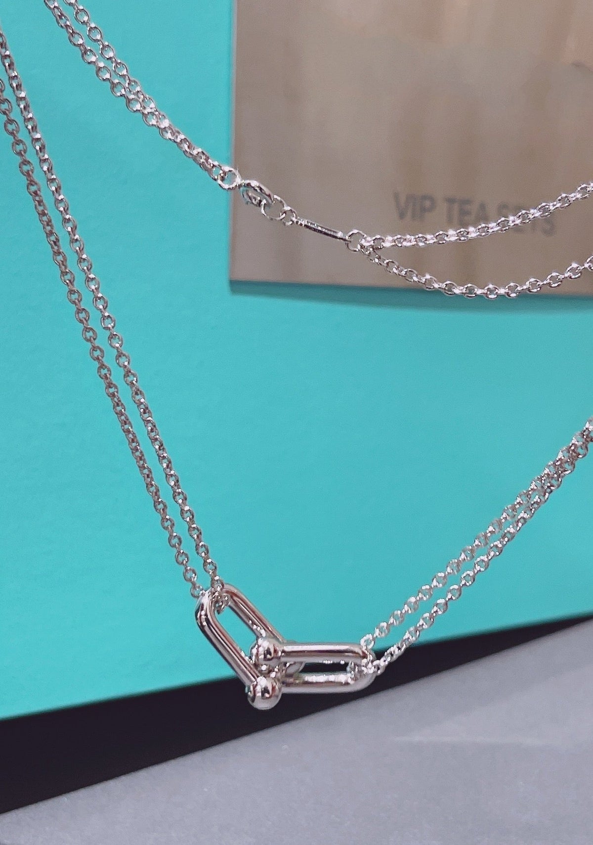 [Ornora Jewelry]HARDWEAR DOUBLE LINK PEDANT SILVER NECKLACE
