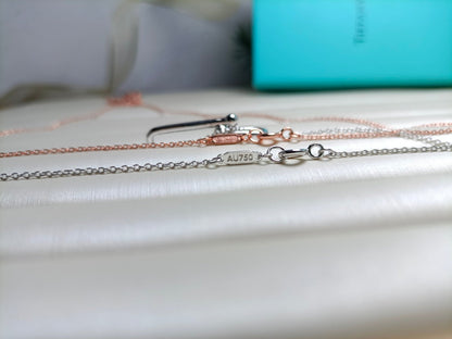 [Ornora Jewelry]HARDWEAR DROP DOUBLE LINK PEDANT NECKLACE