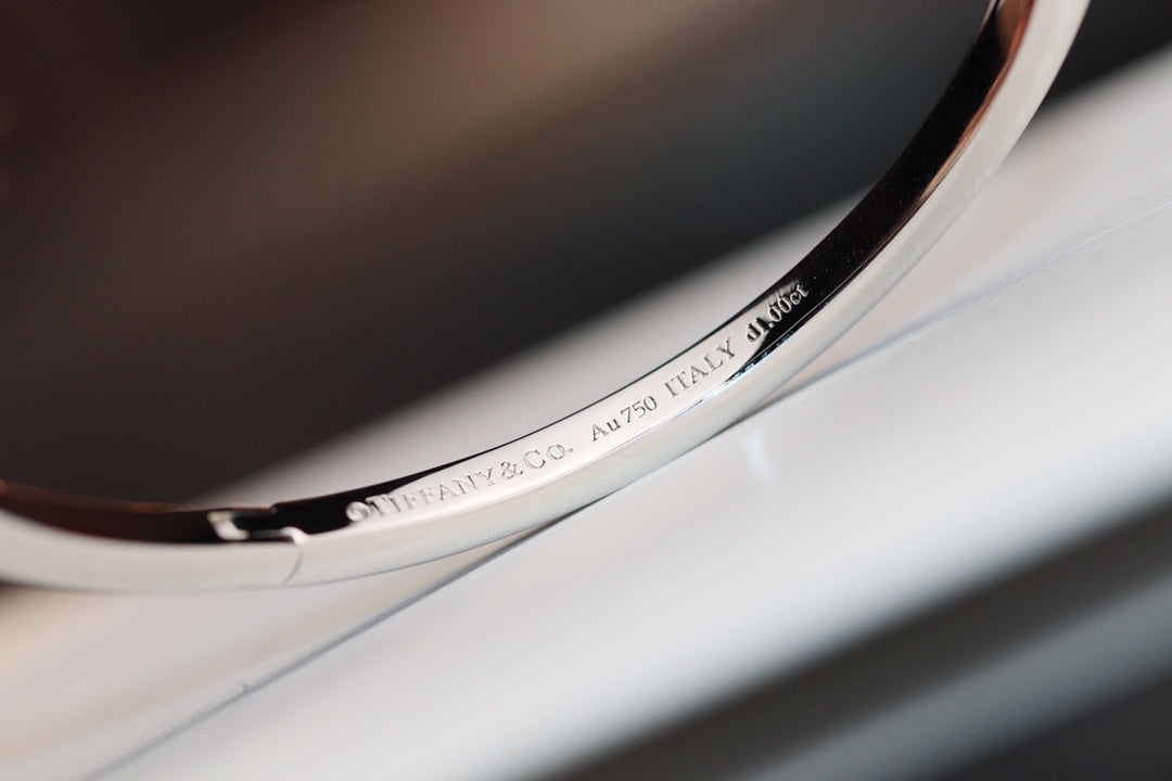 [Ornora Jewelry]NARROW T1 HINGED BANGLE DIAMOND SILVER