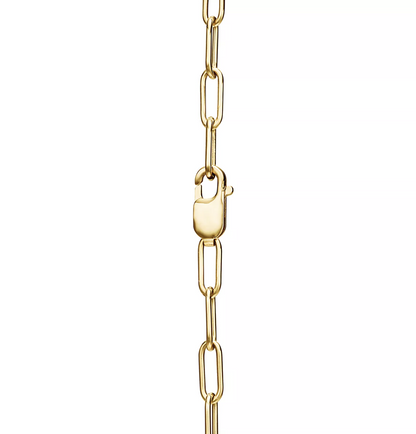 [Ornora Jewelry]LOCK NECKLACE GOLD